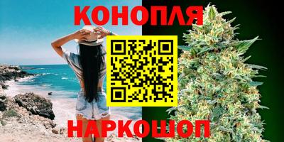 стаф Славгород